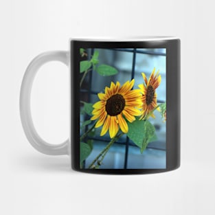 Sunflower Heaven Mug